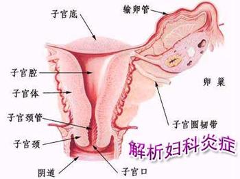 导致女性患阴道炎的原因一般是什么